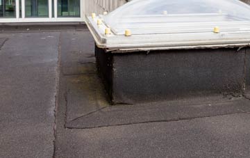 disadvantages of Doccombe flat roofs