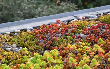 the cost of Doccombe green roof installation