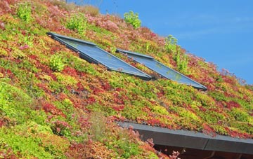 Doccombe living roof systems