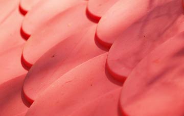 Doccombe plastic roof costs