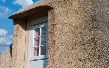 Doccombe thatch roof disadvantages