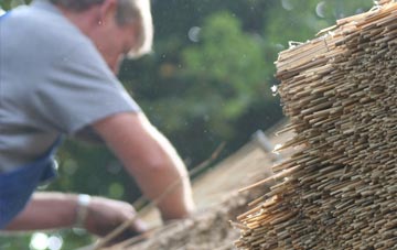 professional Doccombe thatchers