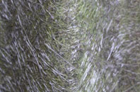 Doccombe fibreglass roof work